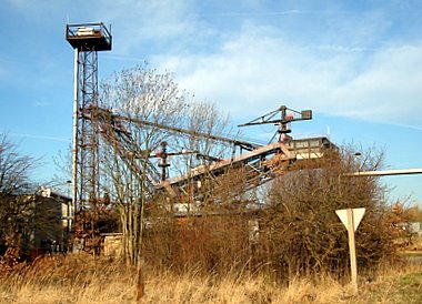 Die Braunkohle lebt!