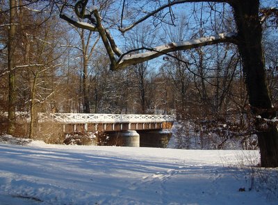 Bild zu Im Frst Pckler Park zu Bad Muskau