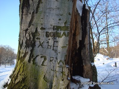 Bild zu Im Frst Pckler Park zu Bad Muskau