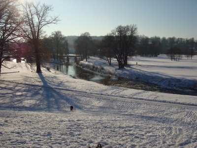 Tritt ein in den Park