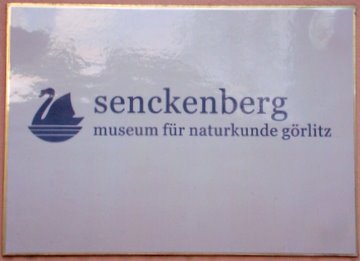 Weshalb das Grlitzer Naturkundemuseum Senckenberg heit