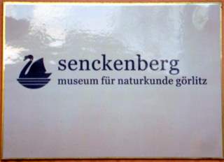 Aktionskreis untersttzt Arbeit des Naturkundemuseums