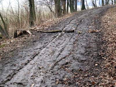 Weg an der Landeskrone wird instandgesetzt