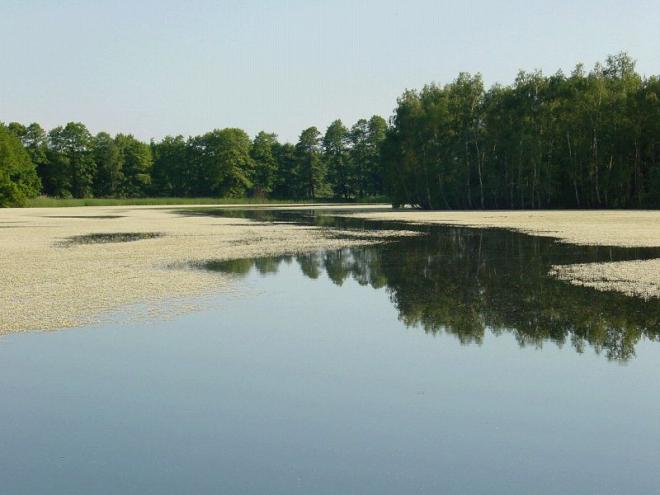 . . . in der Oberlausitzer Heide- und Teichlandschaft . . .