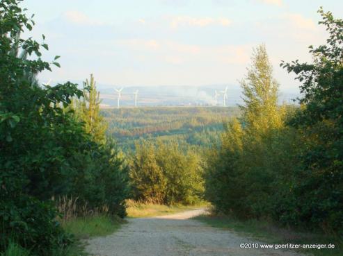 21. Lauf am Berzdorfer See ausgeschrieben