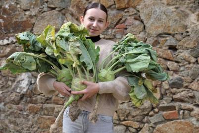 Traditionelles Obst und Gemse im Senckenberg-Museum