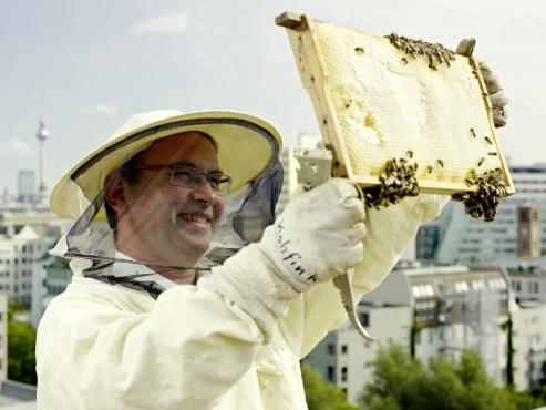 Grostadtimkerei: Senckenberg Grlitz zu "Bienen auf dem Dach"