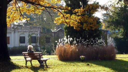 Bild zu Fhrung  fr Sehbehinderte ber den Friedhof Grlitz