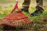 Grne Arbeit, rote Zahlen: Lohnkampf im Gartenbau