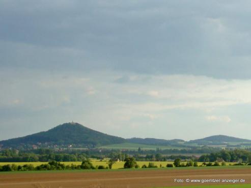 Zu den Baumfllungen an der Landeskrone