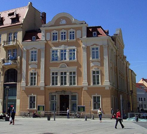 Herbstprogramm des Senckenberg Museums: Spannende Einblicke in Natur und Wissenschaft