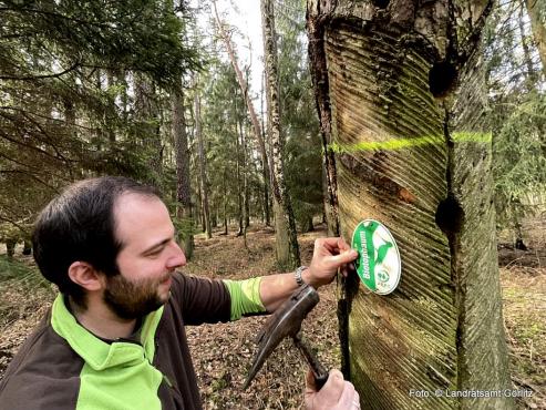 Bild zu Grlitzer Landkreiswald jetzt PEFC-zertifiziert