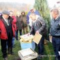 Imker in Niederschlesien zum Honigbienensterben