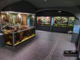 Einblicke in 20 Jahre Vivarium am Senckenberg