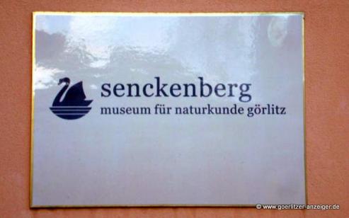 Senckenberg Grlitz legt krftig zu