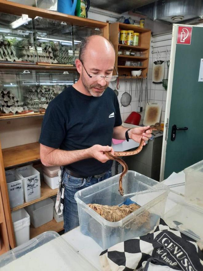 Einzigartige Einblicke in die Arbeit mit lebenden Tieren