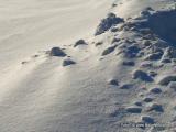 Fr Winterhungrige: Ski-Camp 2014