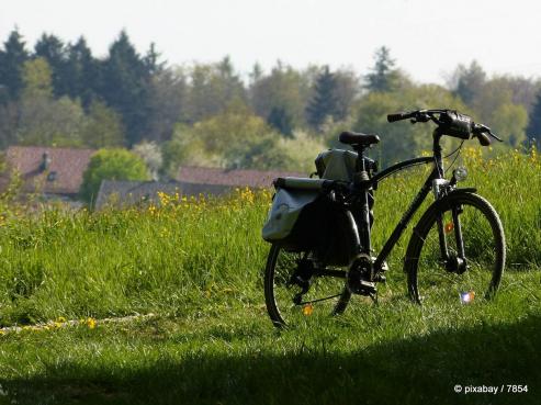 ADFC-Radtour Grlitz - Wildpark Thrna