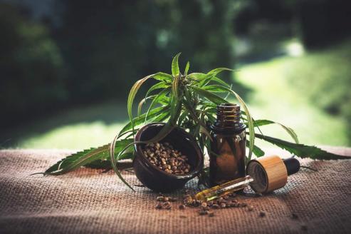 Cannabisblten kaufen: Dieses Plus fr die Gesundheit bringen Cannabisblten mit