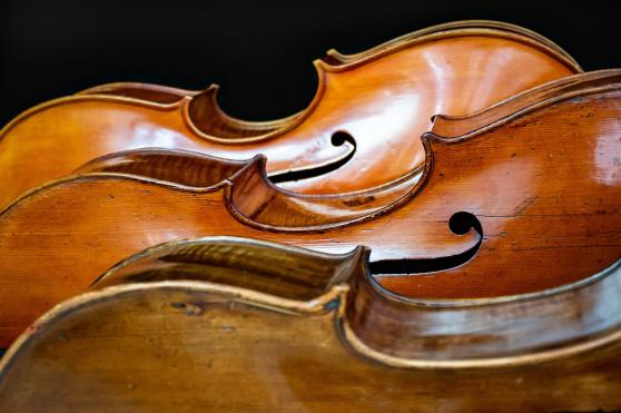 Schatzkammerkonzert in Grlitz: Die Vielseitigkeit des Cellos