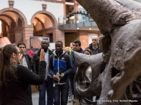 Senckenberg: Flchtlinge Eintritt frei!