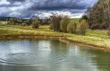 Trittsteine der Natur: Fachtagung in St. Marienthal